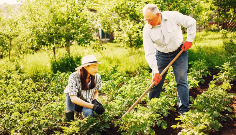 Two people gardening together in a lush green field, with the man using a hoe and the woman crouching nearby, surrounded by plants and trees.