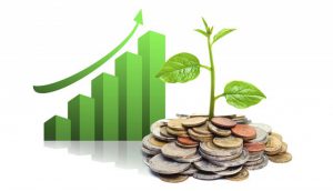 What is the best way to grow your money