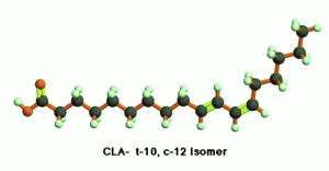 Conjugated Linoleic Acid Structure